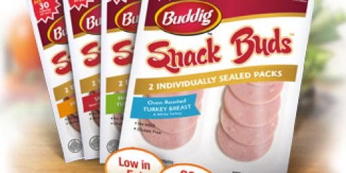 Rare Buy 1 Buddig Original Product, Get 1 Buddig Snack Buds FREE Coupon + Target Deal