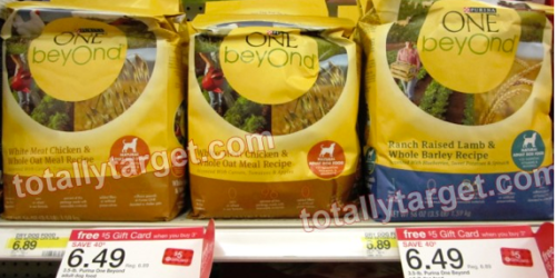 Target: Purina ONE beyOnd Adult Dog Food as Low as $0.32 Per 3.5lb Bag