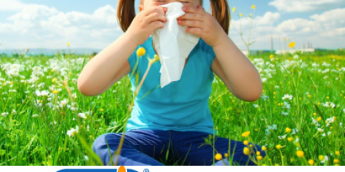 Giveaway: 10 Readers Each Win Nozin Prize Package (Smart & Natural Nasal Care!)