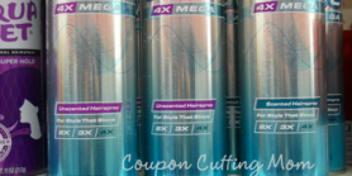 $1/1 Rave Hairspray Coupon (Still Available!) = Possible FREE Rave Hairspray at Kmart