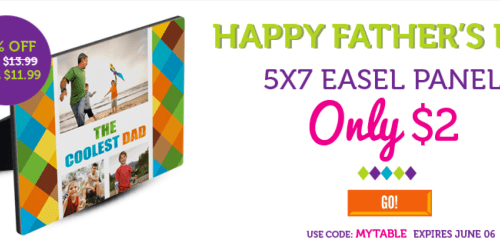 York Photo: 5X7 Easel Panel Only $7.99 Shipped (Regularly $13.99!) – Great Father’s Day Gift