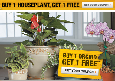 Home Depot Garden Club Exclusive Coupons To Save On Plants Soil