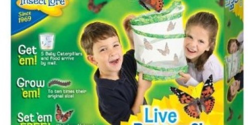 Amazon: Highly Rated Insect Lore Live Butterfly Garden $10.95 (Nice Price Drop!)
