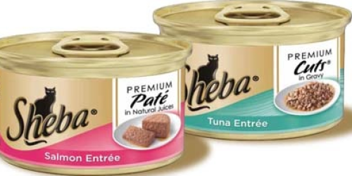 Free Sheba Cat Food Sample