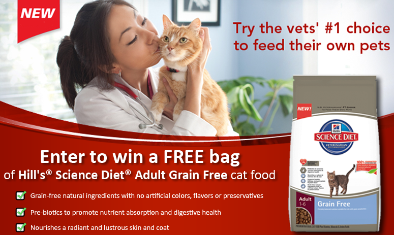 hills grain free cat food