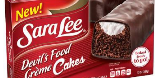 Target: Sara Lee Snacks Only $1.69