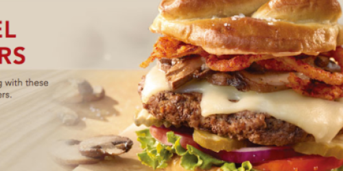 Ruby Tuesday: New Pretzel Bun Burger AND Crispy Fries Only $5.99 (+ Tip)