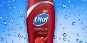 New $1/1 Dial Powerberries Product Coupon