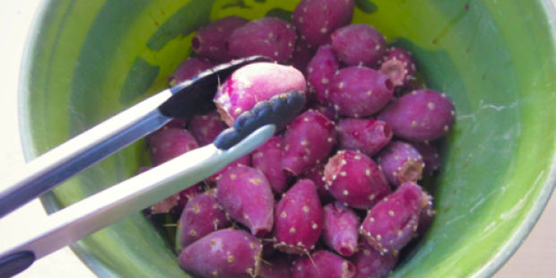 Happy Friday: Frugal Prickly Pear Jam