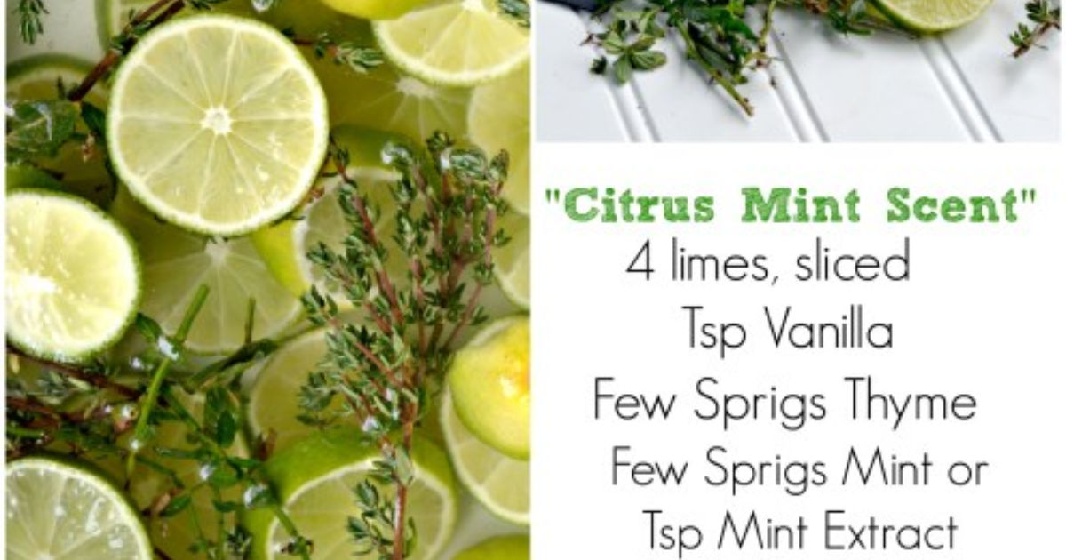 Citrus Mint Natural Room Scent Hip2Save