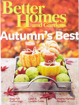 FREE Subscription To Better Homes And Gardens Available Again   Screen Shot 2013 11 12 At 11 55 52 Am 