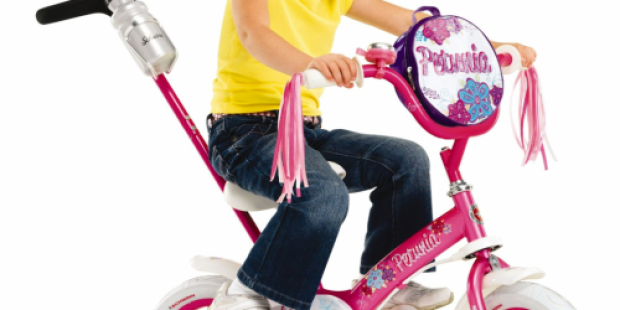 Amazon: Schwinn Girls’ Petunia 12-inch Steerable Bike Only $51.99 (Reg. $119.99!)