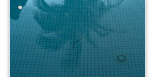 FREE Download of Lorde’s No Better Single (iTunes)