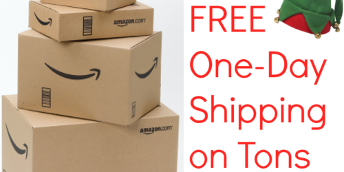 Amazon: FREE One-Day Shipping on Hundreds Of Items (Get In Time for Christmas!)