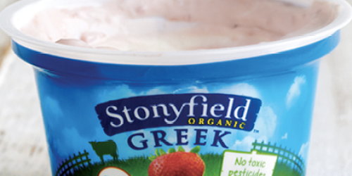 $1/2 StonyField Organic Greek Yogurt Coupon (Plus, Stackable Whole Foods Store Coupon!)