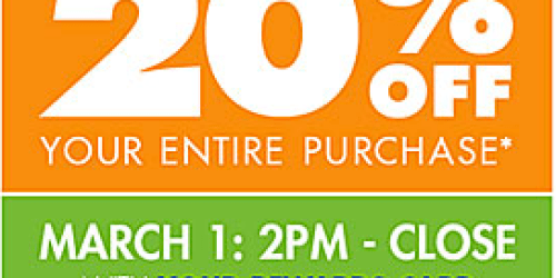 Big Lots: 20% Off Your ENTIRE Purchase (Valid on 3/1 for Buzz Club Members or 3/2 for Everyone)
