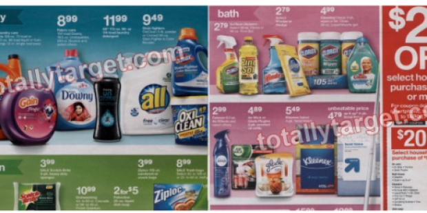 Target: *HOT* $20 Off $50 Select Household Purchase Coupon (+ Possible Deal Scenarios Starting 3/2!)