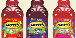 Family Dollar: Mott’s Fruit Punch Rush Juice Only $1