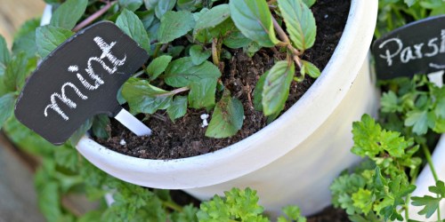 DIY Stacked Herb Garden