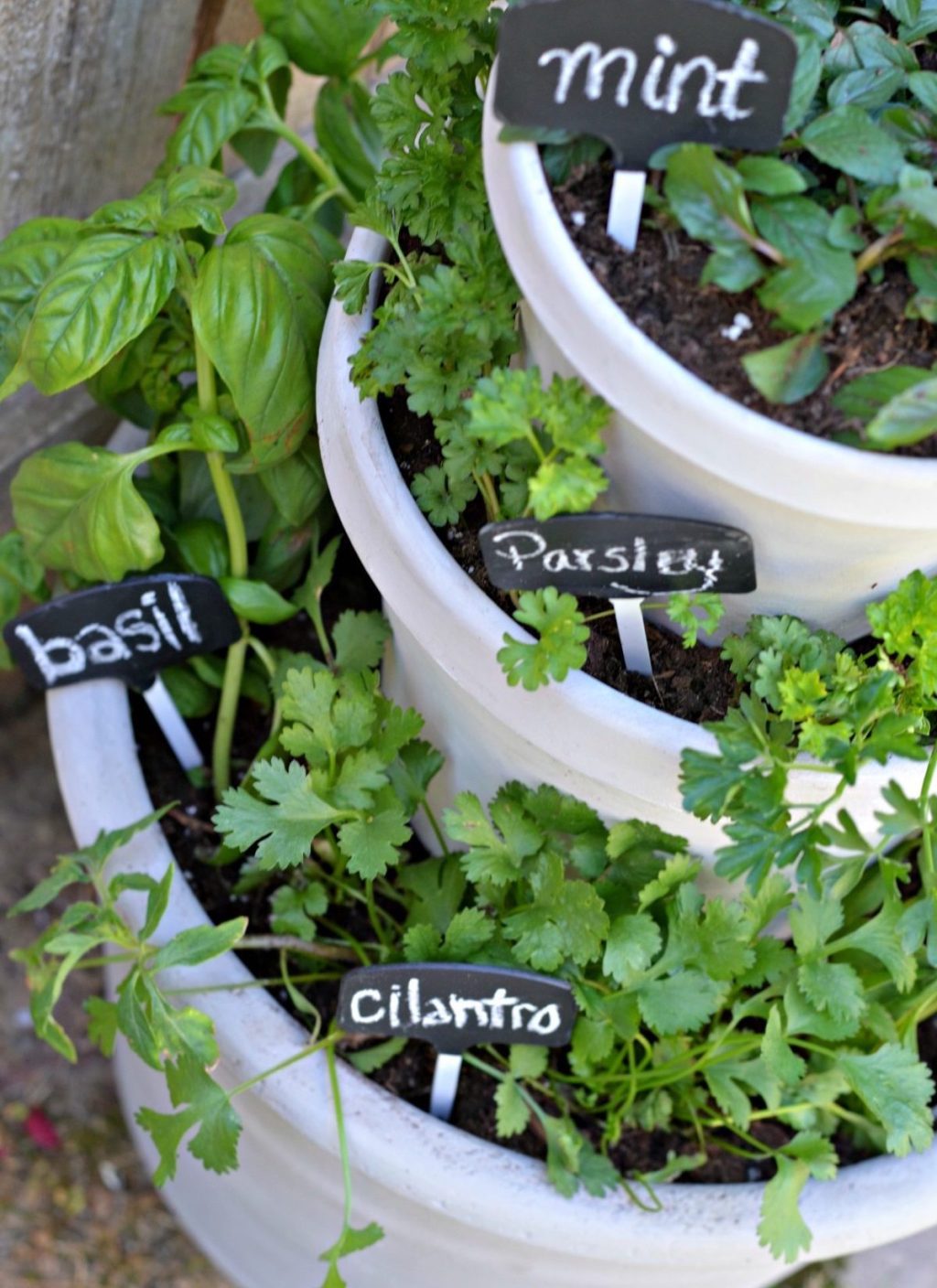 stacked herb garden with various signs