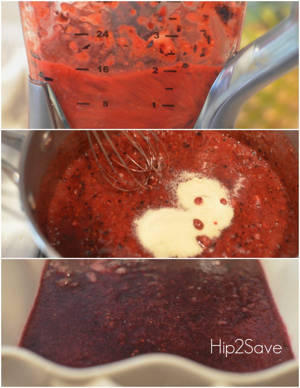 Homemade Fruit Snacks Recipe Hip2Save