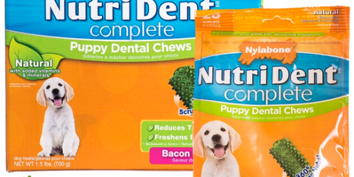High Value Nylabone Nutri Dent Coupons