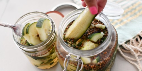 This Refrigerator Dill Pickle Recipe is so Easy to Make at Home!