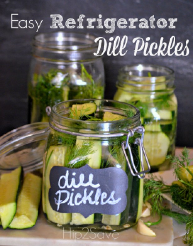 Easy Refrigerator Dill Pickles Hip2Save