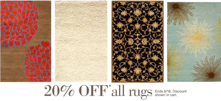 Home Decorators Collection 20 Off All Rugs AND Free Shipping Thru   Screen Shot 2014 06 13 At 11 04 14 Am 