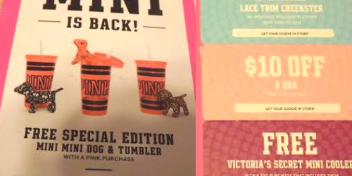 Victoria’s Secret: Possible Free Lace Trim Cheekster, $10 Off Bra Purchase & More (Check Your Mailbox!)
