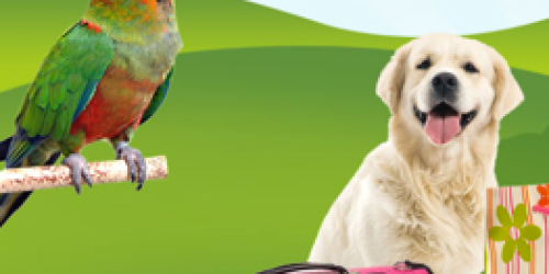 Petco: 20% Off Entire Purchase Coupon