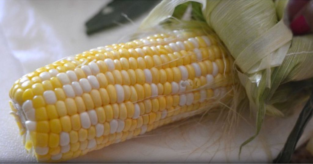 making corn on the cob