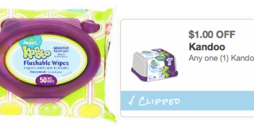 High Value $1/1 Kandoo Product Coupon – NO Size Restrictions (Still Available!)