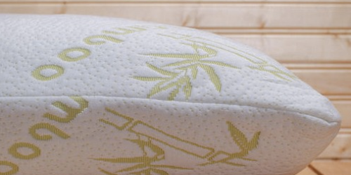 Bamboo Memory Foam Hypoallergenic Pillow w/ Bag As Low As $19.99 Shipped (Reg. $99?!) – Back Again