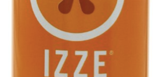 Amazon: 24 IZZE Fortified Sparkling Juice Cans Only $0.49 Each + FREE Shipping