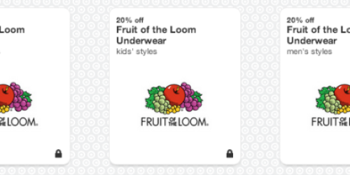 Target Cartwheel: 20% Off Fruit of the Loom Underwear = Nice Deals on Items for the Entire Family