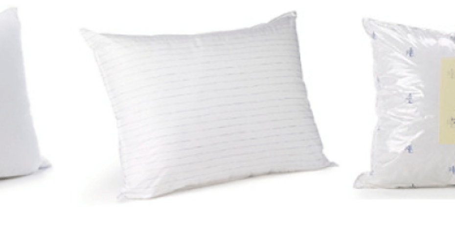 BonTon.com: Awesome Pillow Deals + Free Shipping