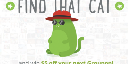 Groupon Find the Cat Game – Play and Win $5 Off Purchase of $5 or More (Facebook Required)