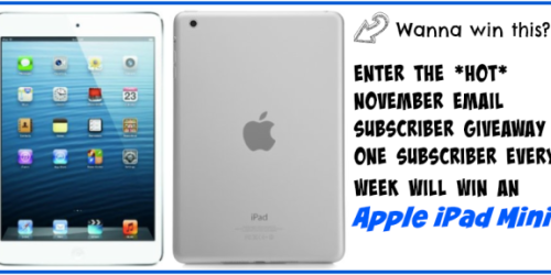 This Week’s Email Subscriber Giveaway Winner (+ Enter to Win iPad Mini – One Winner Every Week in Nov.)