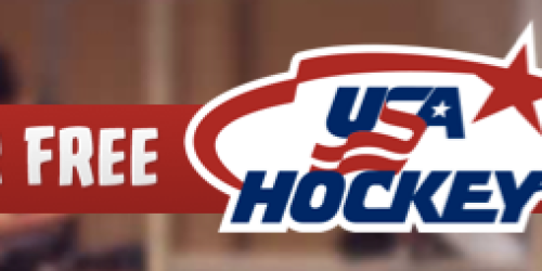 FREE Hockey for Kids on November 8th (Ages 4-9)