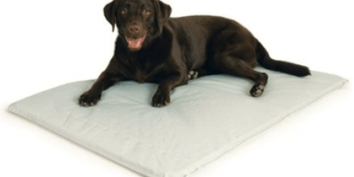 Amazon:  Large Size 32×44″ K&H Cooling Dog Bed Only $12.99 (BIG Price Drop!)