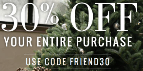 AEO, AEO Factory & Aerie: 30% Off Order + FREE Shipping (Score Stud Earrings for Only $1.84 Shipped!)