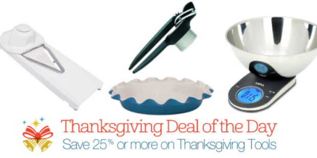 Amazon: 25%+ Off Highly Rated Thanksgiving Tools = Cuisinart Stainless Steel Roaster w/Rack Only $32 (Reg. $110) + More