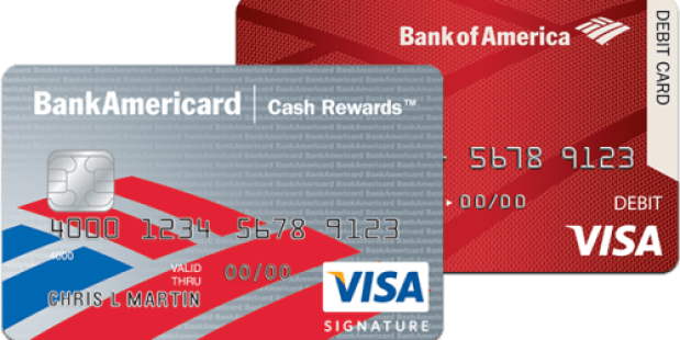 Bank of America Visa Cardholders: FREE $10 Visa Gift Card When You Enroll in Visa Checkout