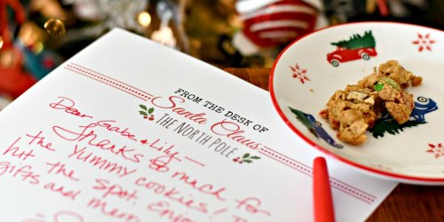 FREE Printable Christmas Tags and Santa Claus Letterhead | Great for Young Kiddos!