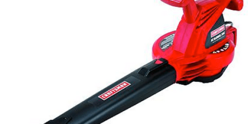 Sears or Kmart: Craftsman Variable Electric Speed Leaf Blower/Vac Only $34.99 (Regularly $89.99)