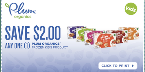 Rare $2/1 Plum Organics Frozen Kids Product Coupon