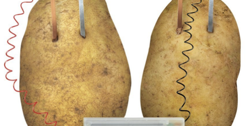Best-Selling Potato Clock Only $5.45