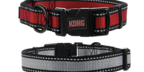 PetSmart: KONG Reflective Dog Collars Only $4.49 (Reg. $11.99!) + FREE In-Store Pickup