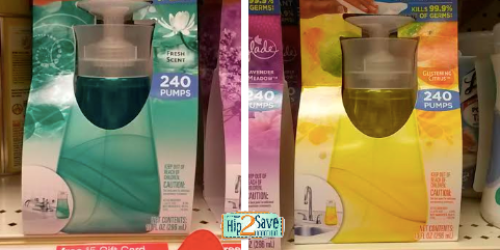 Target: 4 FREE Windex Touch-Up Cleaners (After Gift Card)